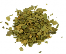 images/productimages/small/Ginkgo biloba.png